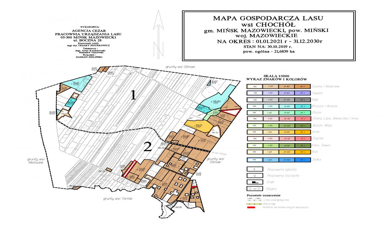Mapa Gospodarcza Lasu wsi Chochół