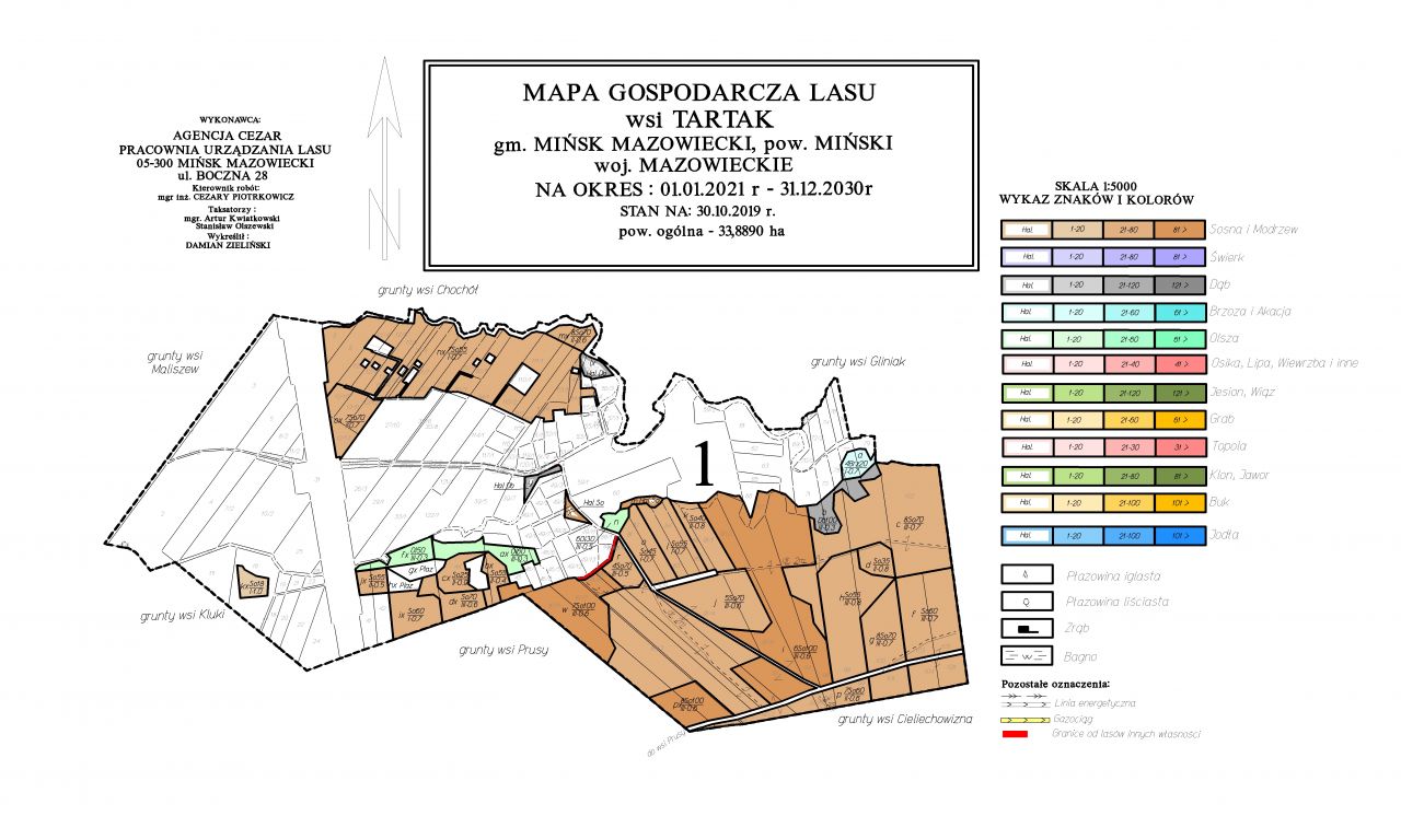 Mapa Gospodarcza Lasu wsi Tartak