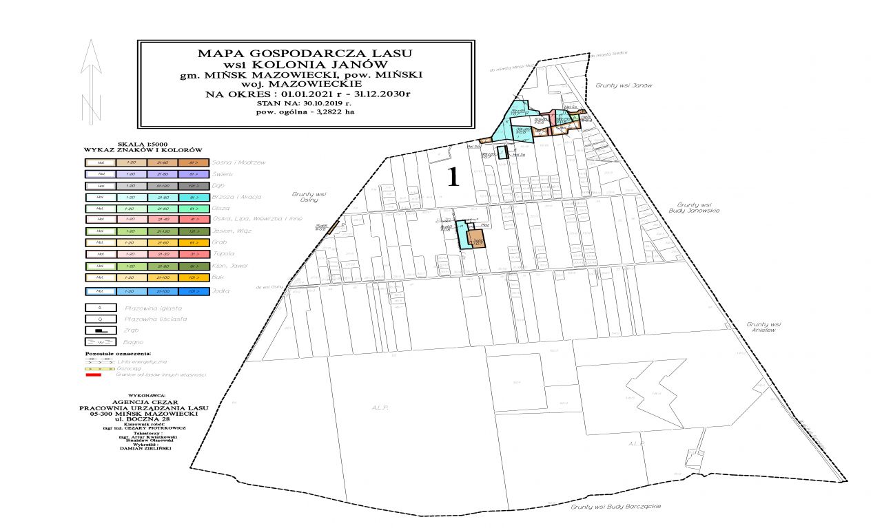 Mapa Gospodarcza Lasu wsi Kolonia Janów