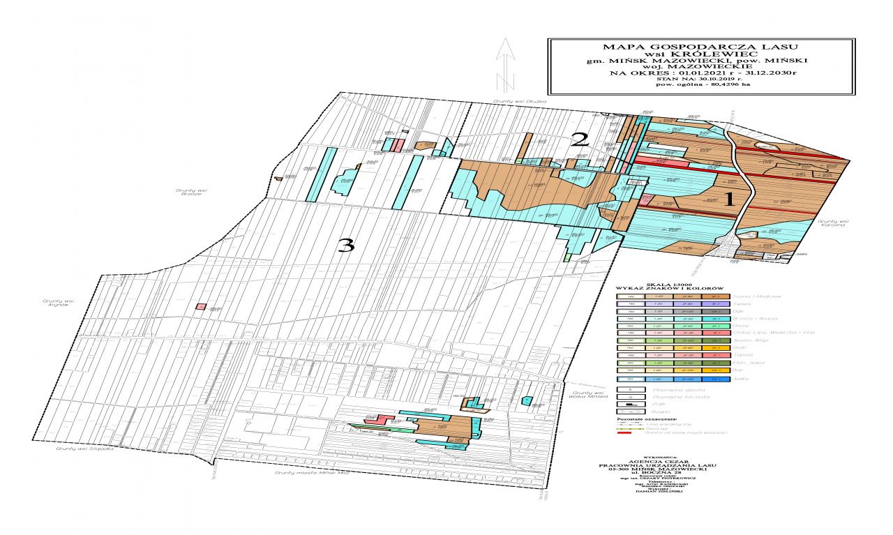 Mapa Gospodarcza Lasu wsi Królewiec