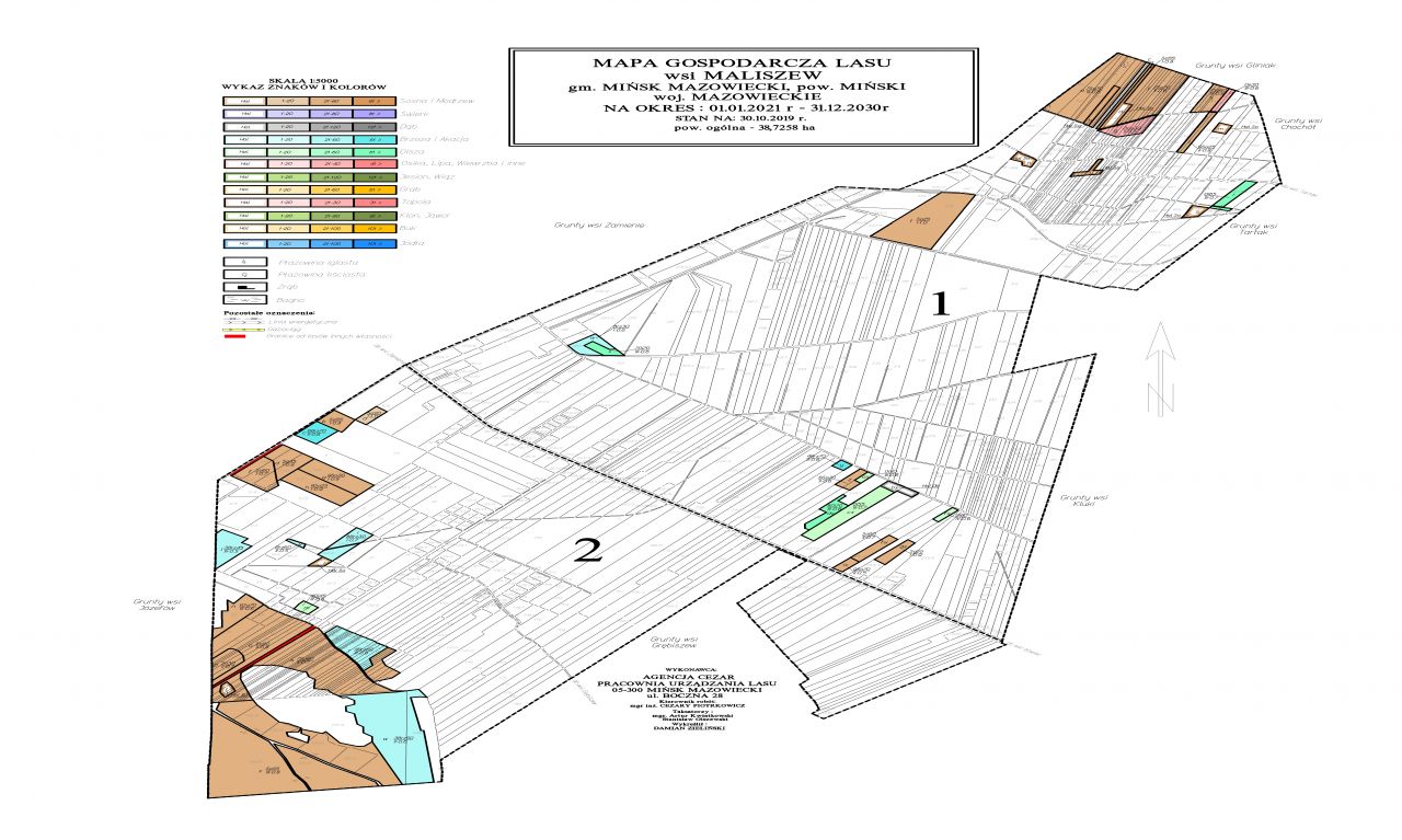 Mapa Gospodarcza Lasu wsi Maliszew